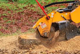 Reliable Arlington Heights, WA Tree Care Solutions